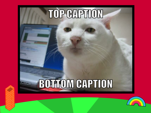 caption cat