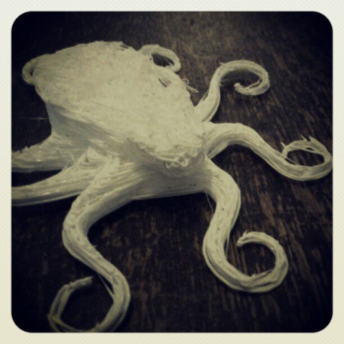 octopus