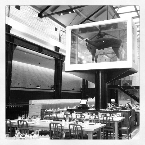 tramshed